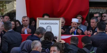 693fdb0d0c4ce583__w1200xh800