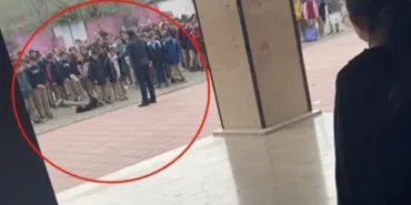 693fef3315f4e239__w1200xh880