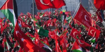 6949199d3cbc3782__w1200xh672