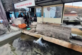 WhatsApp Görsel 2025-12-14 saat 21.30.39_e7a88f10