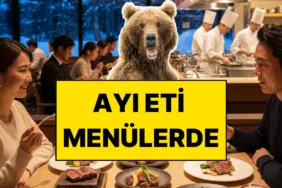 s-085e864639671bd3d87050693954fd3d7bd039d8