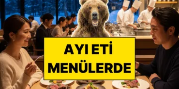 s-085e864639671bd3d87050693954fd3d7bd039d8