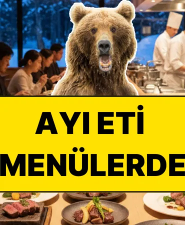 s-085e864639671bd3d87050693954fd3d7bd039d8