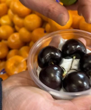 695d73105612f522__w1200xh675