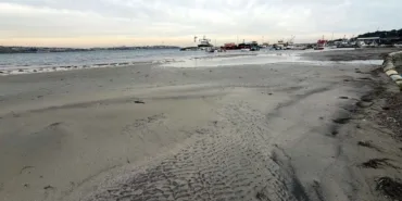 6970beef329de255__w1200xh675