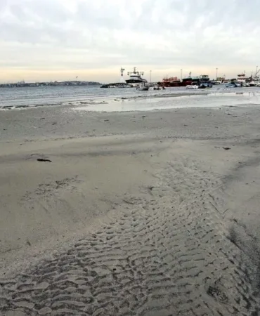 6970beef329de255__w1200xh675