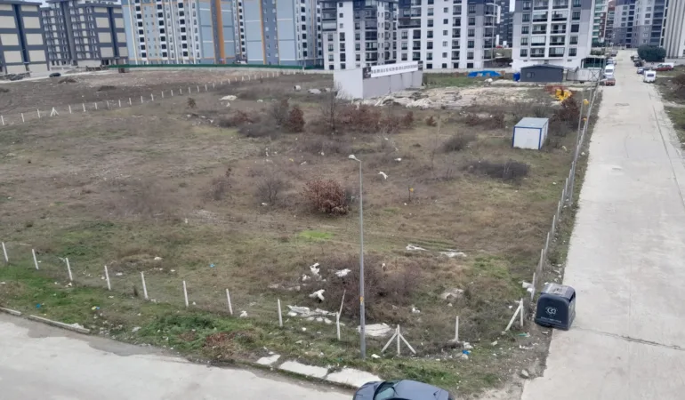 WhatsApp Image 2026-01-24 at 12.30.21