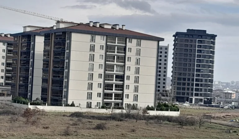 WhatsApp Image 2026-01-25 at 16.45.09