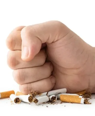 6996a7c60f3e4781__w1200xh800