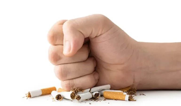 6996a7c60f3e4781__w1200xh800