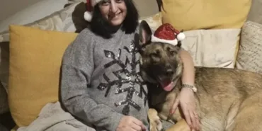 699aa1c1bd9e3376__w1200xh771