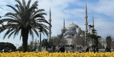 699ab483f21fb701__w1200xh675