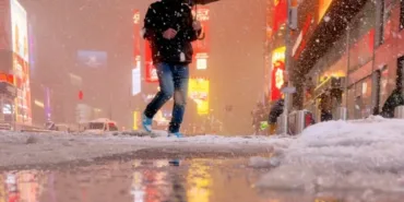 699c9988f339b833__w1200xh873