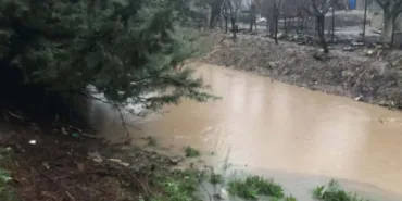 699d4c365f6f1506__w1200xh674