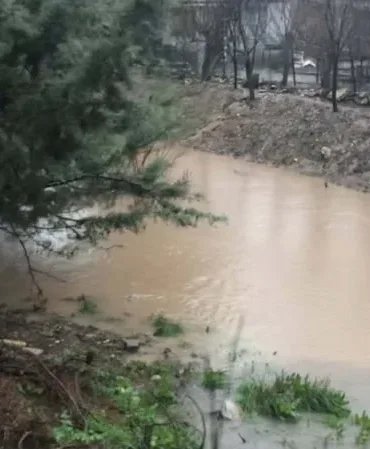 699d4c365f6f1506__w1200xh674