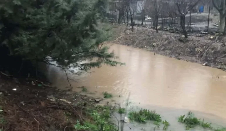 699d4c365f6f1506__w1200xh674