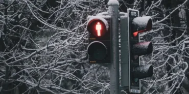 699ea367d91e9149__w1200xh800