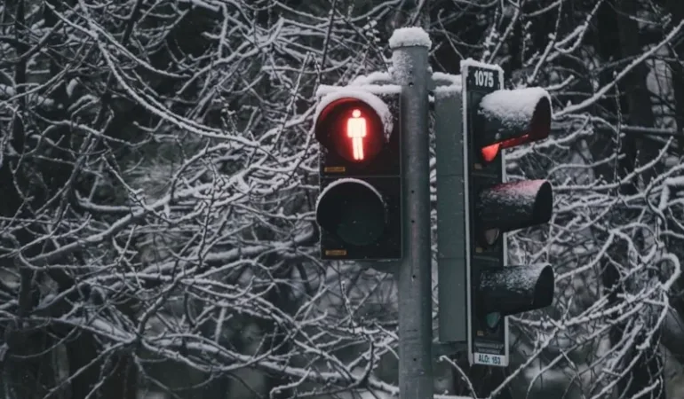 699ea367d91e9149__w1200xh800