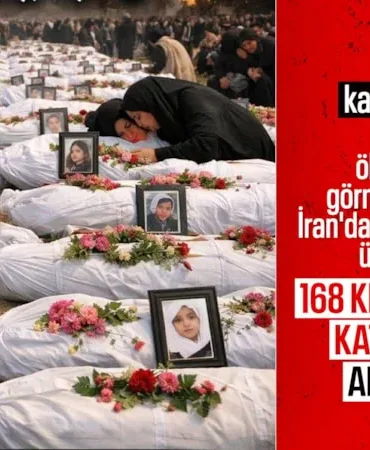 69a6e15f67adf120 (1)