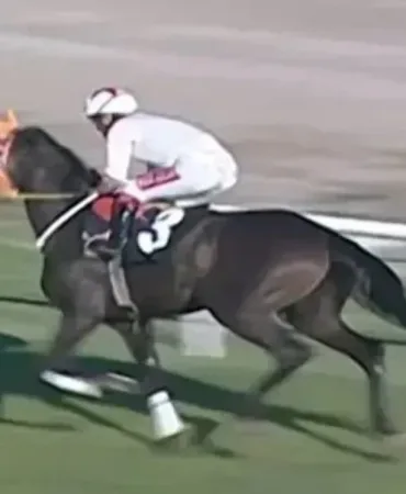 69b3b6a24255d912__w1200xh905