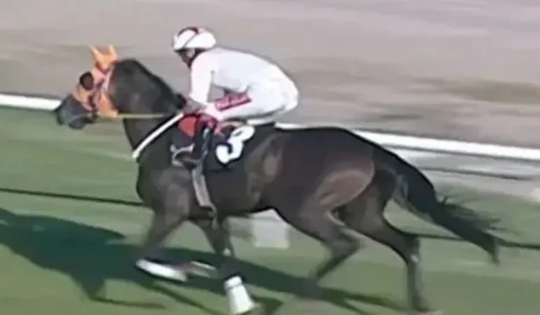 69b3b6a24255d912__w1200xh905