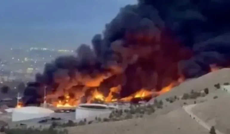 69b4fd0d79742320__w1200xh912