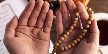 69b788ebc202702b6e293f2f