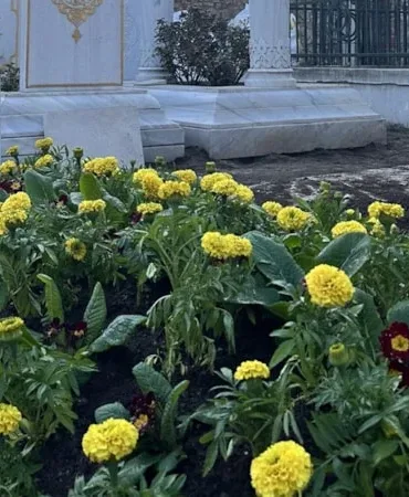 69b84b0df0d0a177__w1200xh675