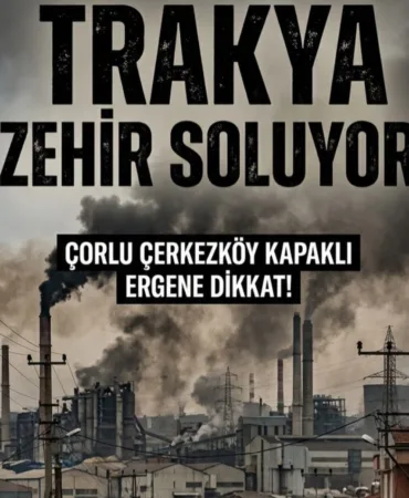 WhatsApp Image 2026-03-24 at 18.28.54